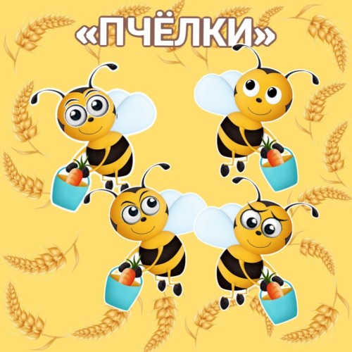 5314697909549263640.jpg